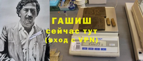 хмурый Магас