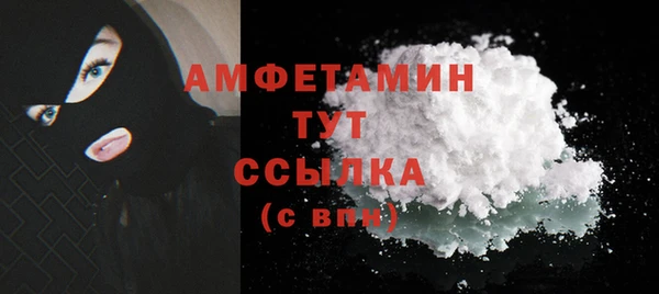 хмурый Магас