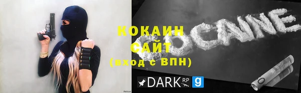 хмурый Магас