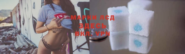 хмурый Магас