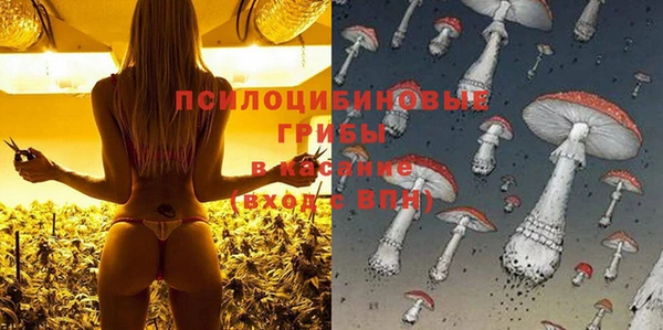 хмурый Магас