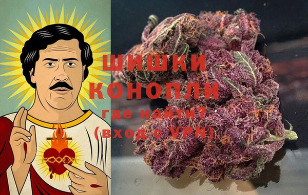 хмурый Магас