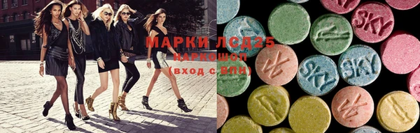 хмурый Магас